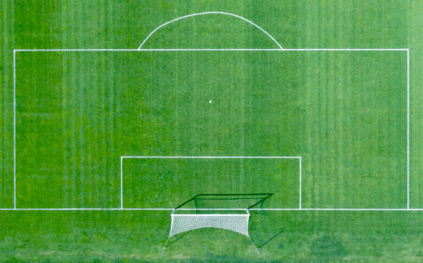 istock Soccer field with white markings. Top view. 1307642492