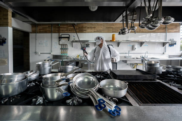 istock Professional cleaner sanitizing a kitchen during the pandemic 1307643424