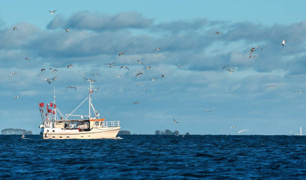 istock Danish fishing boat in coastal area 1307644806