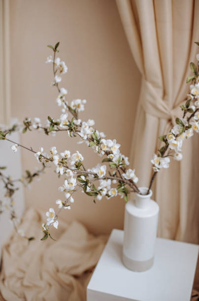 istock blooming cherry branches interior room greece style 1307646752