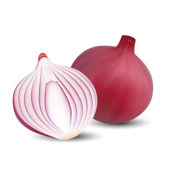 Red onion 3D vector design isolated on white background. Red onion 3D vector design isolated on white background. 490 stock illustrations