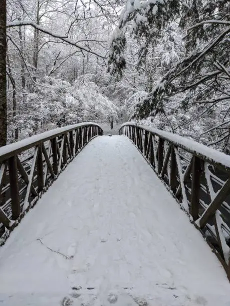 Photo of Snowy Bridge