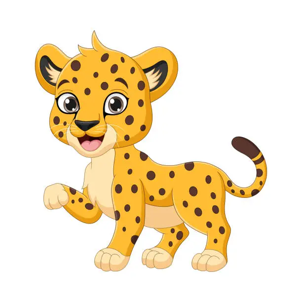 Vector illustration of Cute baby cheetah cartoon on white background