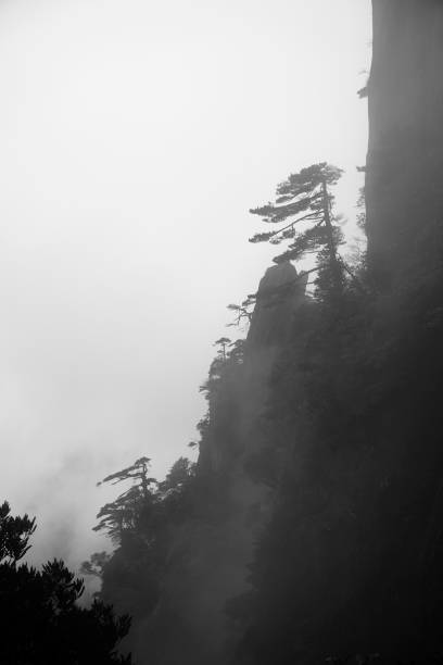 istock Mountains and mist ink painting style 1307655140