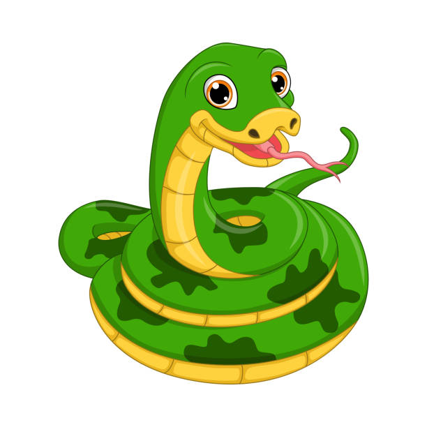 ilustrações de stock, clip art, desenhos animados e ícones de cute green snake cartoon on white background - snake cobra cartoon rattlesnake