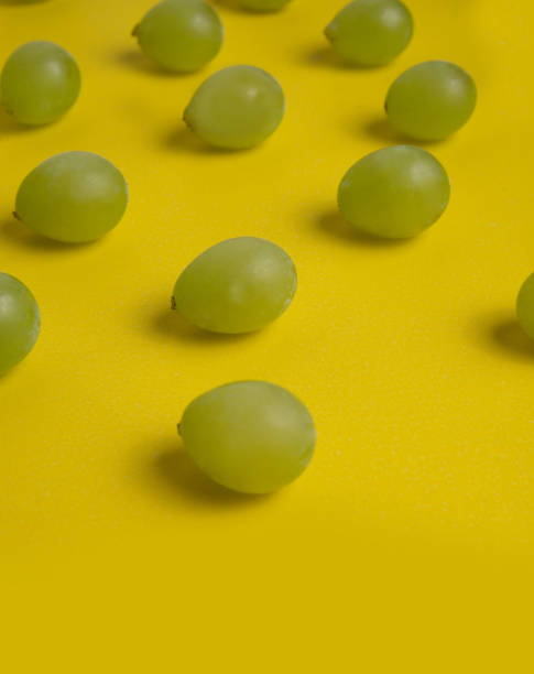 istock White Grapes - Chardonnay - Sauvignon blanc - Chenin blanc 1307656300