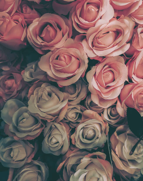 istock Beautiful Artificial Rose Flowers Background, Vintage style; 1307670032