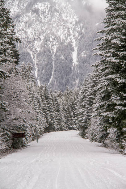 istock A snow covered road through a mountains pine forest 1307676661