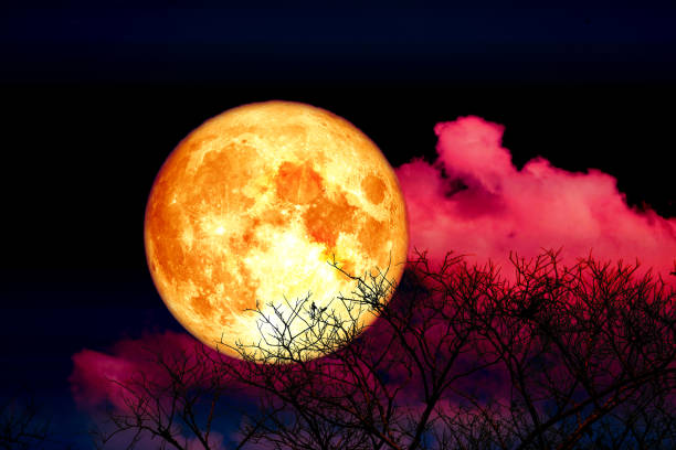 plein sang fraise lune arrière nuage et arbre dans le champ et le ciel rouge foncé, éléments de cette image fournie par la nasa - sky tree photos et images de collection