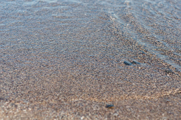 istock Blurred background surface sea water, view through troubled water to beautiful small pebbles, outdoors. 1307680783