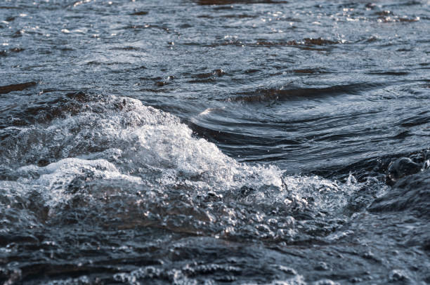 istock Rapids small river, strong current water flowing among stones, beautiful nature 1307680792