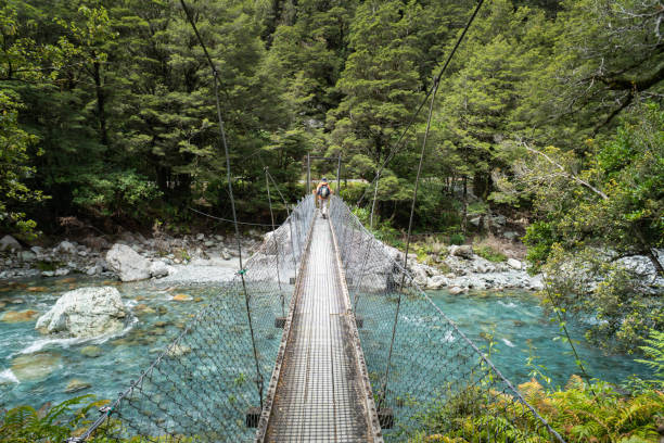 ponte de balanço do lago marian sobre o rio hollyford - whakatipu ka tuka, parque nacional de fiordland - hollyford river valley - fotografias e filmes do acervo