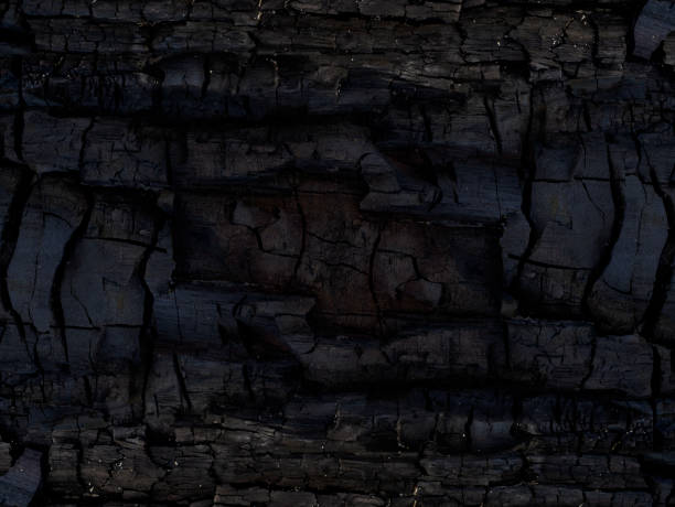 istock Details on the surface of charcoal. 1307692088