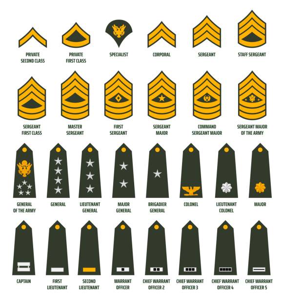 USA army enlisted ranks chevrons with insignia US army enlisted ranks chevrons and insignia. America military service soldiers, officers and command shoulder marks. Private, sergeant and general, captain, lieutenant and major rank slides vector officer military rank stock illustrations
