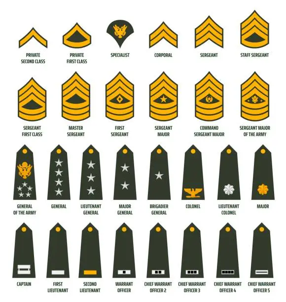 Vector illustration of USA army enlisted ranks chevrons with insignia
