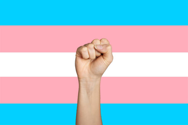 en knytnäve som höjer sig för att fira, bakgrund transgender pride flagga - pride month bildbanksfoton och bilder