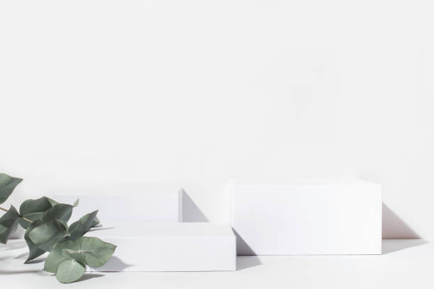 istock White background for cosmetic products. 1307699944