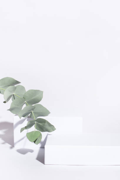 istock Vertical white background for cosmetic products. 1307699948