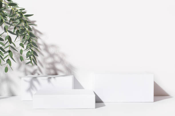 istock White background for cosmetic products. 1307699950