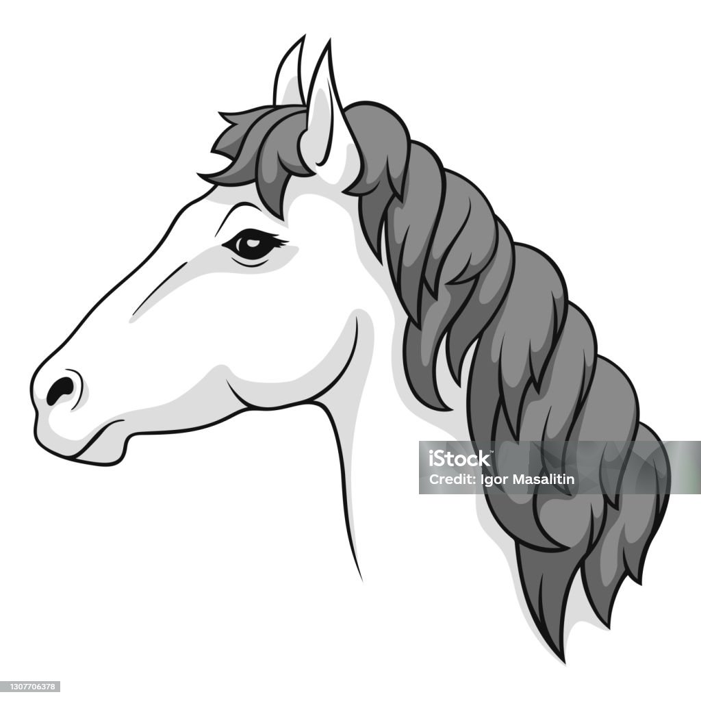 Một Con Ngựa Đầu Ngựa Một Bản Vẽ Tay Và Phác Thảo Hình Minh Họa Sẵn Có -  Tải Xuống Hình Ảnh Ngay Bây Giờ - Istock