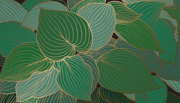 Hand-drawn emerald green Hosta leaves with copper metallic outline background vector Hand-drawn emerald green Hosta leaves with copper metallic outline background vector. Luxury art deco wallpaper design for print, poster, cover, banner, fabric, wrapping. ornate illustrations stock illustrations