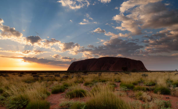 uluru à l’aube - uluru australia northern territory sunrise photos et images de collection