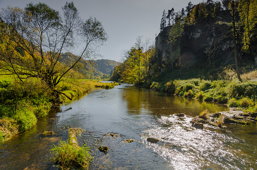 Danube near Fridingen an der Donau, Danube Valley, Upper Danube Nature Park, Baden-Wuerttemberg, Germany