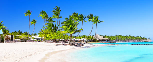istock View of nice tropical beach with green palms around 1307717962