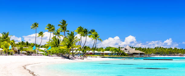 istock Coconut Palm trees on white sandy beach in Dominican Republic 1307717973