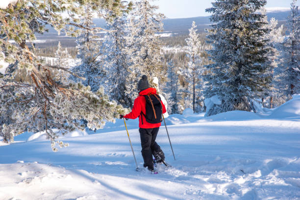 raquette de femme dans la forêt enneigée en finlande - winter snowshoeing running snowshoe photos et images de collection