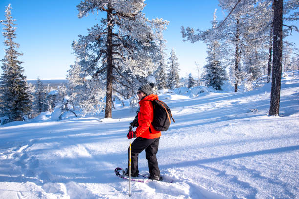 в заснеженном лесу финляндии женщина засовывается на снегоступах - snowshoeing hiking mountain winter стоковые фото и изображения