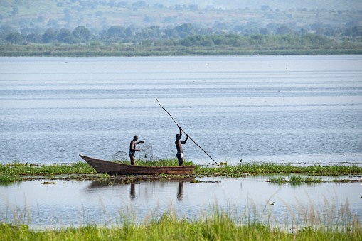 Panygoro, Uganda - July 05, 2019: Two fishermen in a dug-out canoe are fishing with a fishing-net at the shoreline of the Victoria Nile River (\