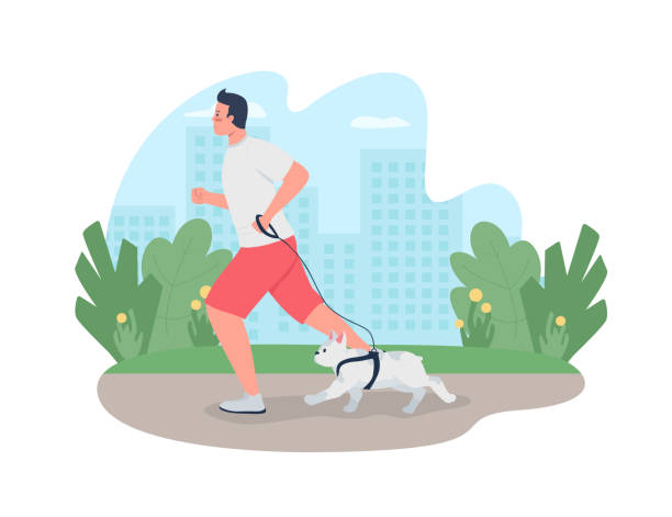 człowiek działa z psem na smyczy 2d wektorowy baner internetowy, plakat - men jogging running sports training stock illustrations