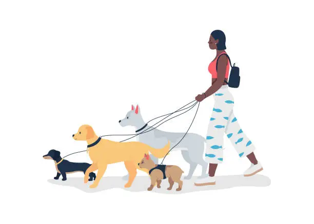 Vector illustration of African american girl walking dogs on leashes flat color vector detailed character