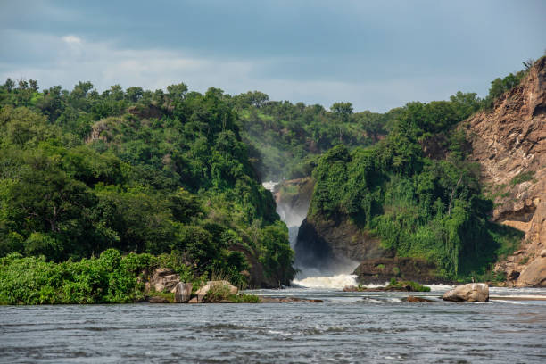 istock Famous Murchison Falls at Nile River, Uganda 1307721829