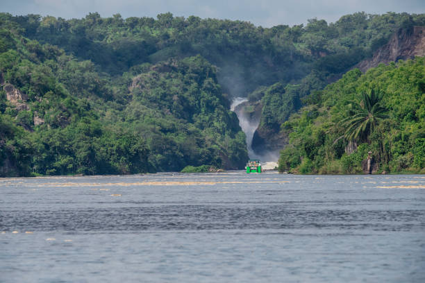 istock Famous Murchison Falls at Nile River, Uganda 1307721887