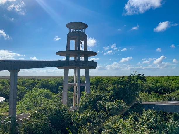 Observation tower at Shark Valley in Everglades National Park. stock photo