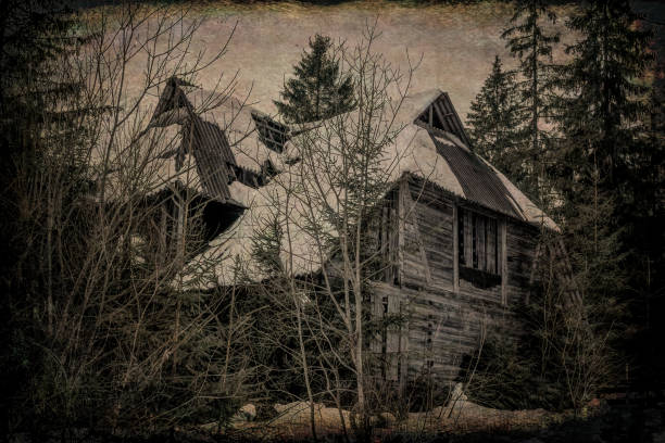 vieille maison mystérieuse en bois dans la forêt. la maison de la sorcière - massachusetts landscape new england spring photos et images de collection