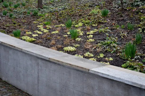 Photo of the retaining wall at the large staircase in the park is a flowerbed area planted with rich greenery perennials granite paving blocks and wooden benches along the wall