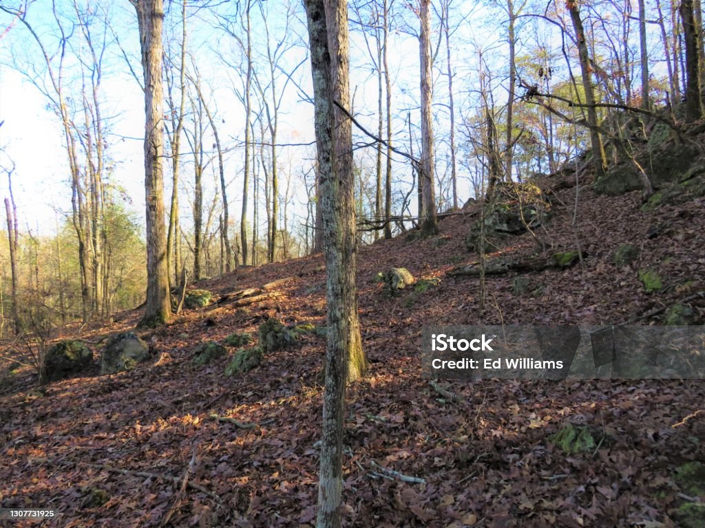 Browns Mount Hillside Stock Photo - Download Image Now - Color Image
