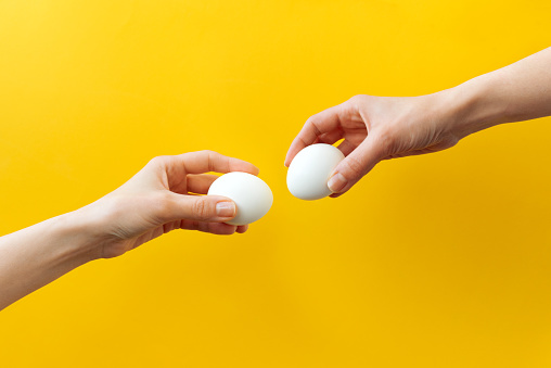Woman hands holding Easter eggs for knocking on yellow background. Easter celebration or creative concept. Adam creation