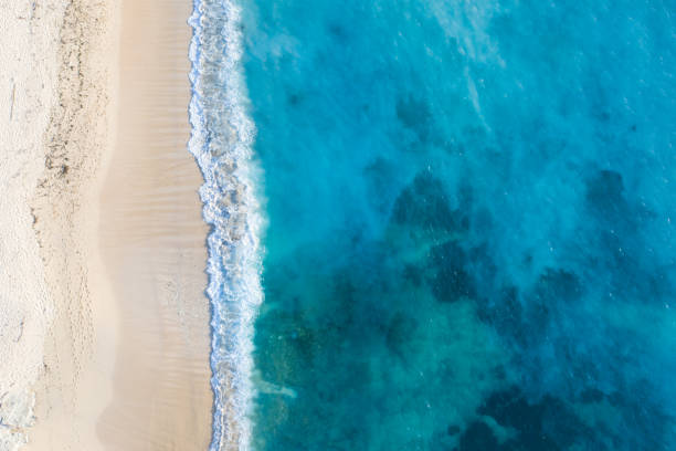 istock Beach scene from above - blue ocean waves hitting a sandy beach. 1307733625