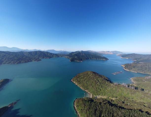 tory channel towards cook strait - cook strait imagens e fotografias de stock