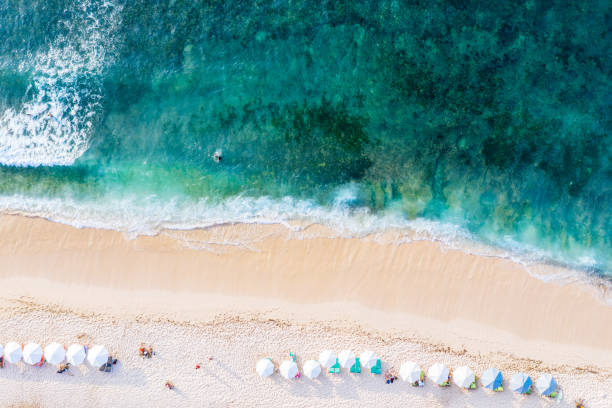 istock Beach umbrellas on the white sand beach and blue ocean. Beach scene from above 1307734169