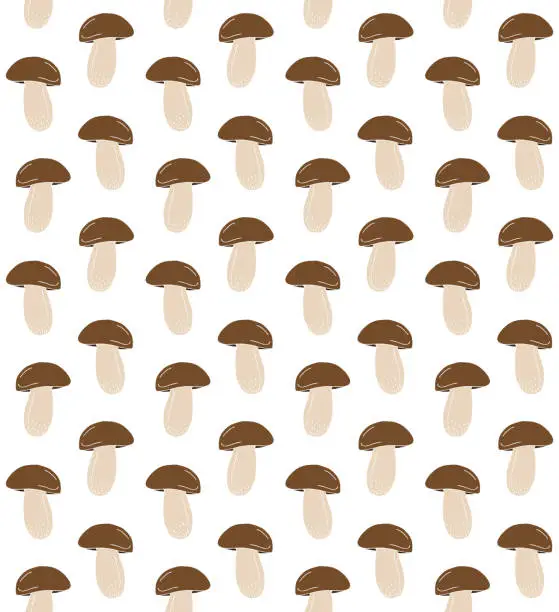 Vector illustration of Vector seamless pattern of hand drawn doodle King bolote cep mushroom