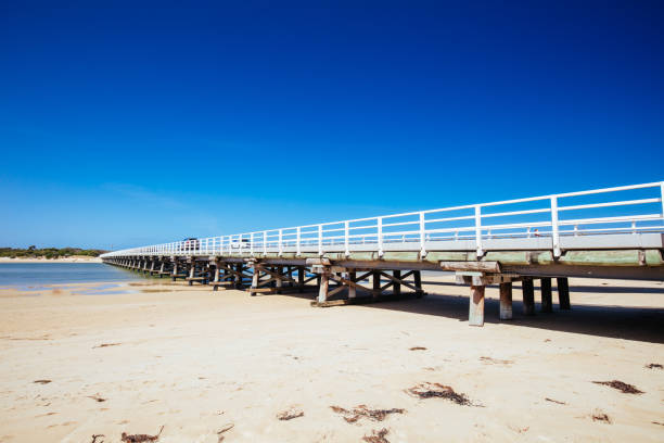 istock The Barwon River Area in Victoria Australia 1307735873