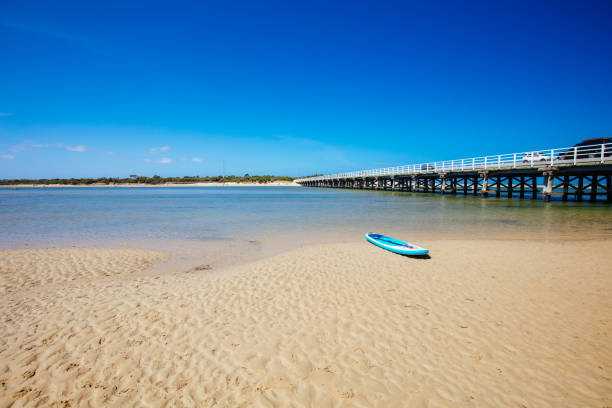 istock The Barwon River Area in Victoria Australia 1307735881