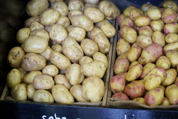 Fresh fruit and vegetables on sale in Victoria, Australia