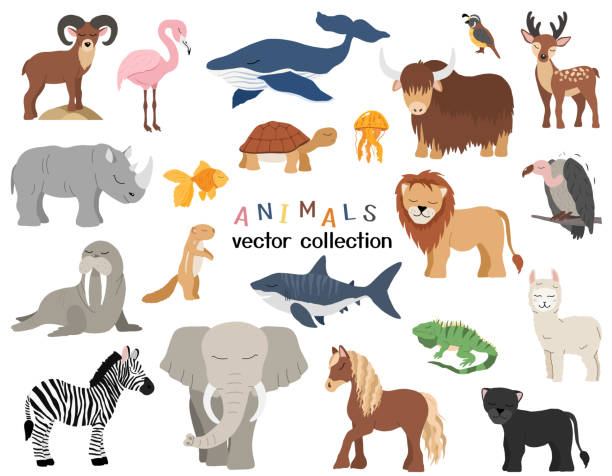 vector cute animals set Vector cute animals set . Vector illustration african ground squirrel stock illustrations