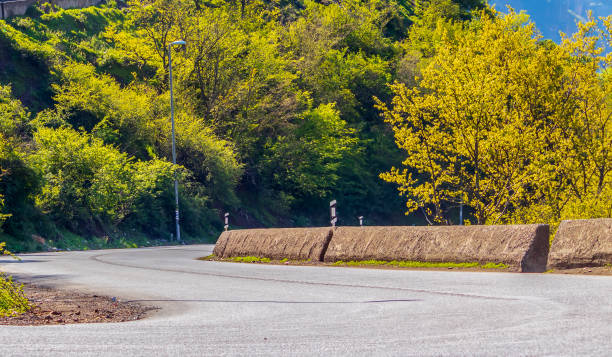 istock road in the autumn park 1307742412